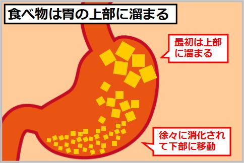 食べてすぐ寝るなら左を下にする
