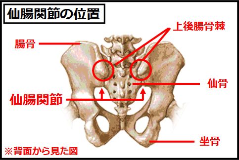 仙腸関節の位置を把握してストレッチ
