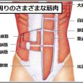 高齢者は体操でインナーマッスルを鍛えるべし