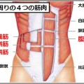 お腹痩せに即効性のある筋肉がインナーマッスル
