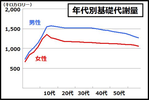 内臓脂肪レベルを下げるなら基礎代謝を上げる