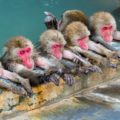 泥のように眠るための入浴は半身浴でなく全身浴