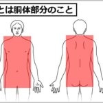 体幹トレーニングの効果