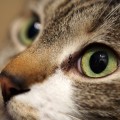 1回10秒！老眼を予防する目のエクササイズ
