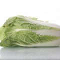 白菜の保存は50度のお湯にいったん浸してから
