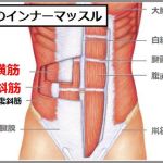 腹筋インナーマッスルを鍛える