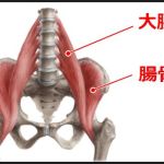 インナーマッスルの大腰筋や腸骨筋