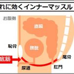 高齢者向けインナーマッスル