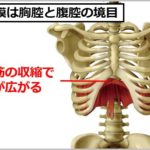 横隔膜を鍛える