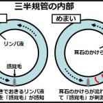 めまいの原因