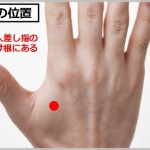 合谷は人差し指の骨の付け根にある