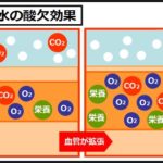 炭酸水の効果