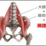 腸腰筋