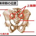 仙腸関節の動きを腰に手を当てて触る方法