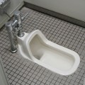 便秘の原因!日本人は洋式トイレに向いていない