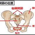 仙腸関節を自分で調整して腰痛を改善する方法