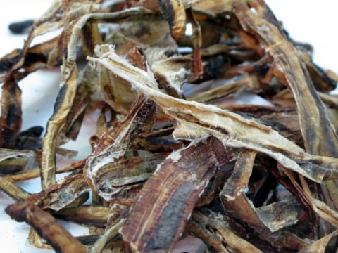 「東洋医学＝漢方」ではなく各国独自に発達した