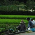 日本人の平均寿命が延びた理由は健康ではない