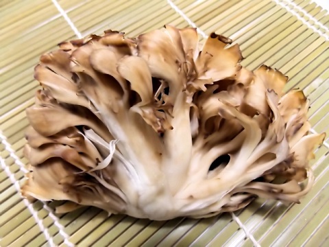 内臓脂肪レベルを下げる「まいたけダイエット」