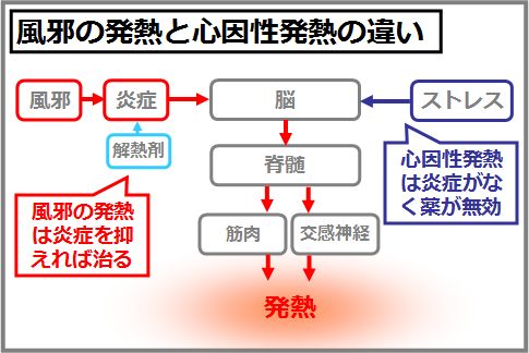 心因性発熱の原因はストレス