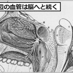 鼻毛を抜く