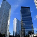スギ花粉の患者が都心に多い理由はアスファルト