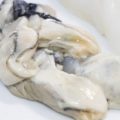 牡蠣は生食用と加熱用でうまみも栄養も全然違う