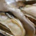 牡蠣にあたることなくプリプリ感を楽しむ調理法