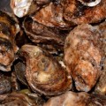 牡蠣鍋を100%安全に食べられる加熱時間は8分
