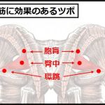 梨状筋