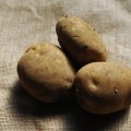 レジスタントスターチは加熱後に冷やすと増える