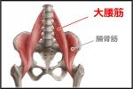 大腰筋