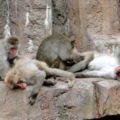 睡眠時無呼吸症候群の検査は自宅で簡単にできる