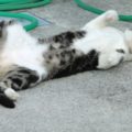 入眠時間が短すぎる人は睡眠障害かもしれない