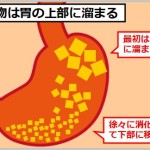 食べてすぐ寝るときの胃