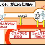汗が臭い
