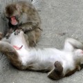 更年期の症状を緩和するタッチケアのやり方とは