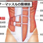 内臓下垂の治し方
