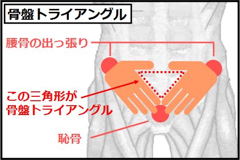 大腰筋を鍛えるための骨盤トライアングル